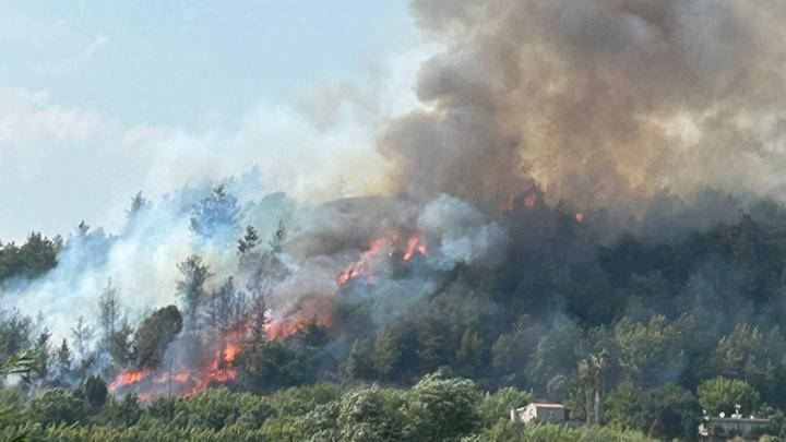 Antalya Aksu’da orman yangını! Rüzgarın etkisiyle yayıldı