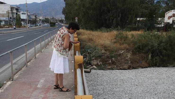 Yunanistan’da binlerce ölü balık paniği: OHAL ilan edildi