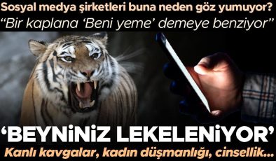 ‘Beyniniz lekeleniyor’ Neden sosyal medya algoritmaları genç erkeklere şiddet dolu içerikler öneriyor? Bir kaplana ‘Beni yeme’ demeye benziyor