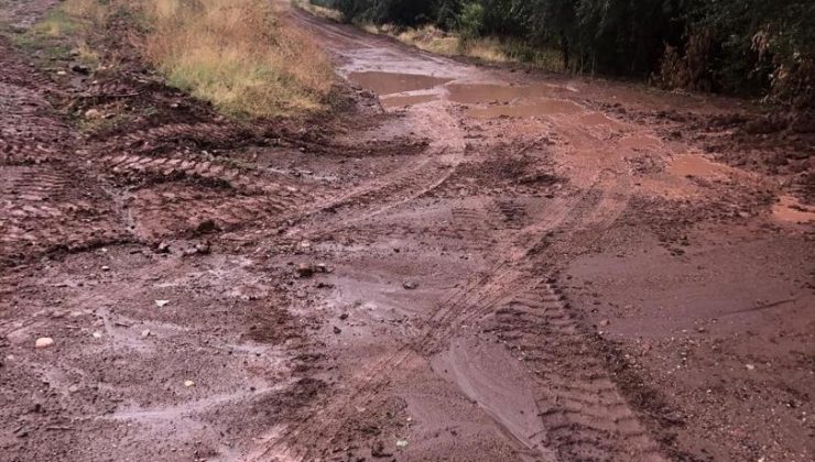 Bitlis’in Ahlat ilçesinde sağanak sele neden oldu