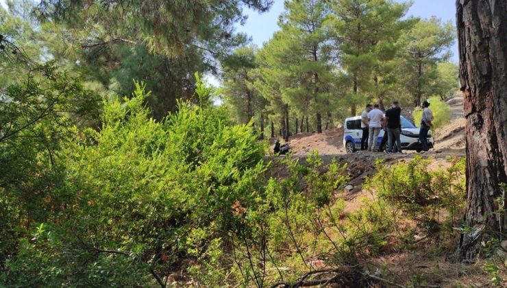 Fethiye’de ormanda terk edilmiş bebek bulundu