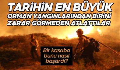 Gelmiş geçmiş en büyük orman yangınlarından birini hiç zarar görmeden atlattılar! Bir kasaba bunu nasıl başardı?