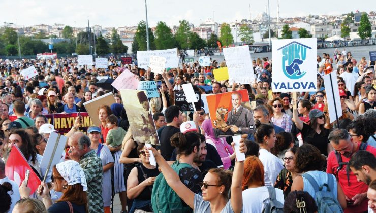 Hayvanseverler Yenikapı’da buluştu