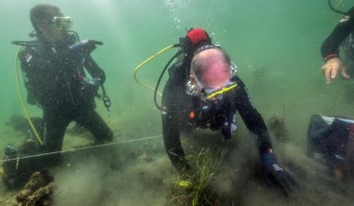 Marmara Denizi’nde müsilaja deniz çayırı önlemi