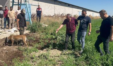 Vahşi cinayette sır perdesi 6 ay sonra aydınlatıldı… ‘Başında ağladım, kepçeyle kazıp gömdüm’