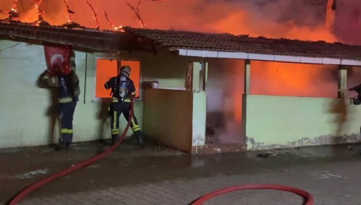 72 yaşındaki annesinin ilişkisinden şüphelenip dehşet saçmıştı… Kalp krizi geçiren kadın, oğlundan şikayetçi olmadı