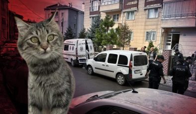 82 yaşındaki emekli öğretmen dehşet saçtı: Kedi kavgasında 1 kişi hayatını kaybetti