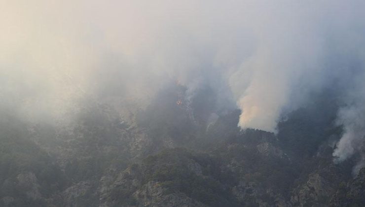 Denizli’de orman yangını 4’üncü gününe girdi! Müdahale devam ediyor