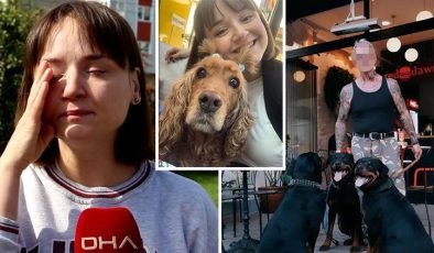 Dört köpeğin saldırısına uğrayan Lilly öldü