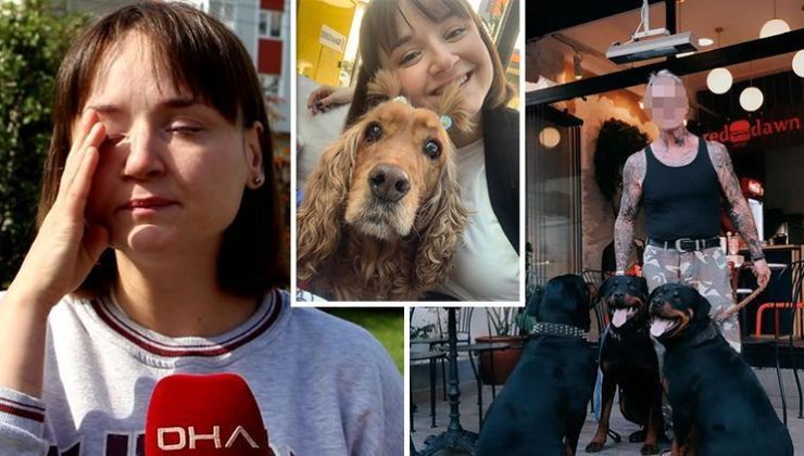 Dört köpeğin saldırısına uğrayan Lilly öldü