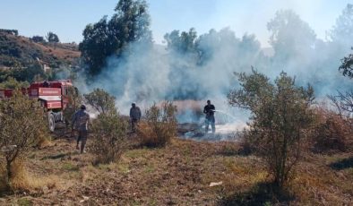 Hatay’da zeytinlikte yangın