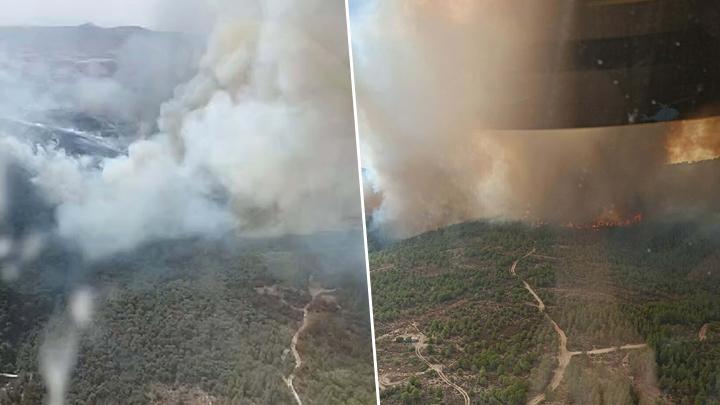 İzmir Foça’da orman yangını: Havadan ve karadan müdahale ediliyor