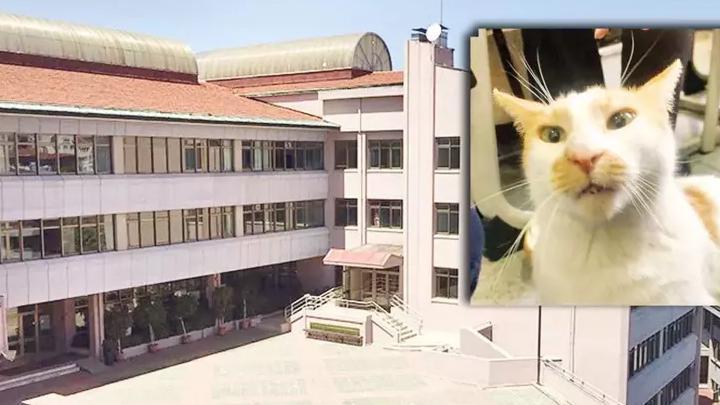 Kedi Faruk’un camdan itilmesine ilişkin davada 3 yıla kadar hapis istemi