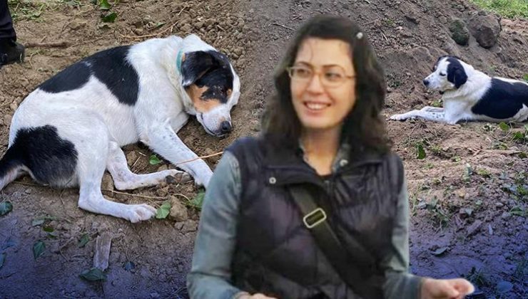 Köpeğin vefası yürekleri dağladı: Ölen sahibinin mezarı başından ayrılmadı