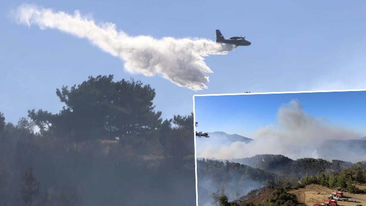 Muğla’nın Dalaman ve Menteşe ilçelerinde orman yangınlarına müdahale sürüyor