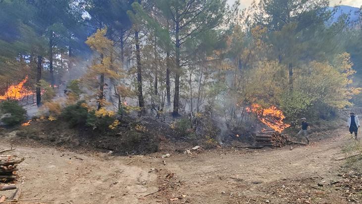 Osmaniye’de orman yangını: Müdahale sürüyor