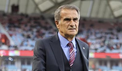 Şenol Güneş: Bir çiçek ile yaz gelmez