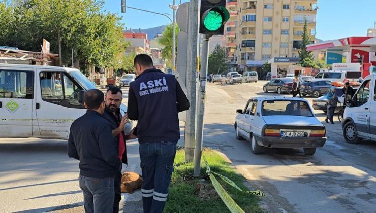 Trafik lambasındaki elektrik kaçağı köpeği öldürdü