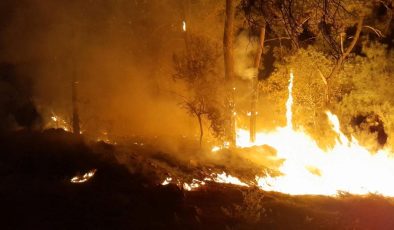 Antalya’da kamp ateşi orman yangınına dönüştü