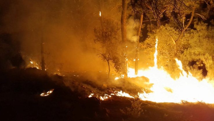 Antalya’da kamp ateşi orman yangınına dönüştü