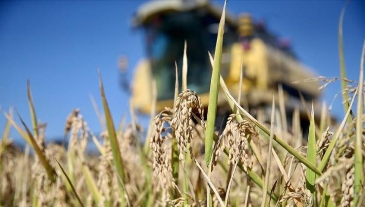 Bakan Yumaklı: Tarım ve ormancılık sektörü 5 çeyrektir büyüyor