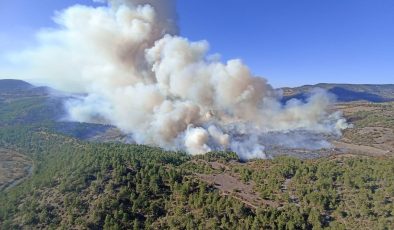 Bursa’nın Büyükorhan ve Karacabey ilçelerinde orman yangını