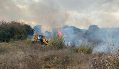 Çanakkale Biga’da orman yangını