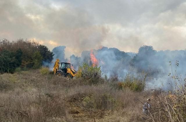 Çanakkale Biga’da orman yangını