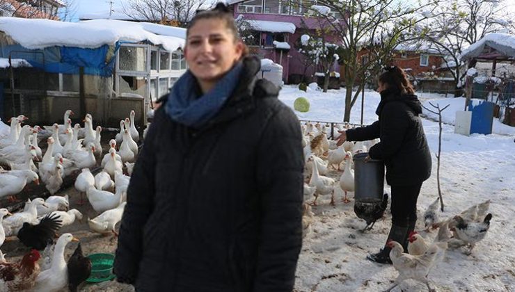 Ebru öğretmen, hayalleri için köy yerleşti: Hibe alıp birkaç taneyle başladı, şimdi sayıyı 200’e çıkardı