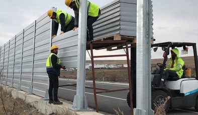 Endemik türler için harekete geçildi: Gürültüden rahatsız olmamaları için ses bariyeri kuruldu