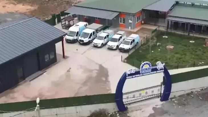 Gebze Belediyesi’nden hayvan bakım merkeziyle ilgili açıklama