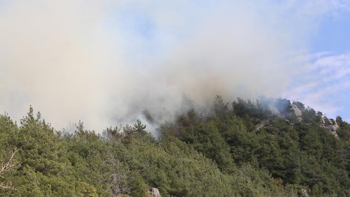 Hatay Arsuz’da orman yangını