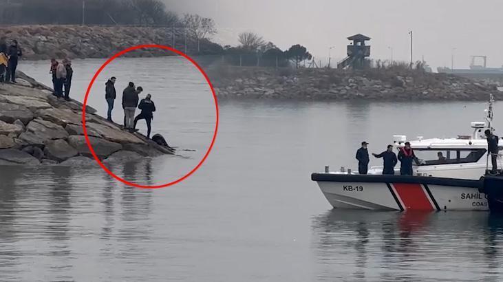 İstanbul’da sahilde başından silahla vurulmuş iki erkek cesedi bulundu! Kimlikleri belli oldu