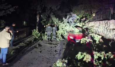 KKTC’de şiddetli fırtına! Tabelalar uçtu, ağaçlar devrildi