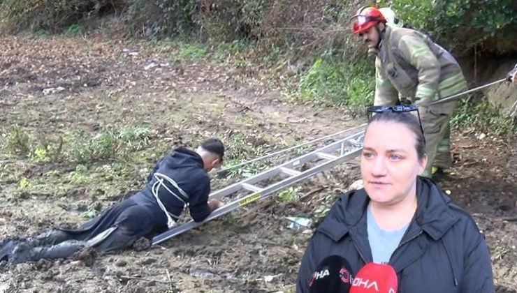 Millet bahçesinde yürürken neye uğradığını şaşırdı… Yardım çağrısını duyanlar hiçbir şey yapamadı: Ne yapacağımızı bilemedik