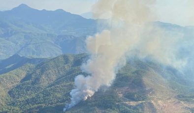 Muğla’da orman yangını: Havadan ve karadan müdahale ediliyor