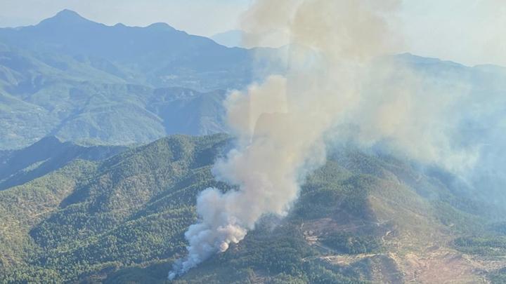 Muğla’da orman yangını: Havadan ve karadan müdahale ediliyor