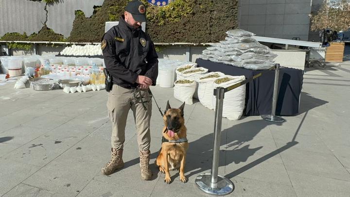 Operasyonda şüpheliyi etkisiz hale getiren polis köpeği Ares, uyuşturucudan zehirlenerek hayatını kaybetti