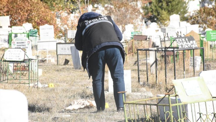 Parçalanmış halde bebek cesedi bulunmuştu… Mezardan hayvanlar çıkarmış