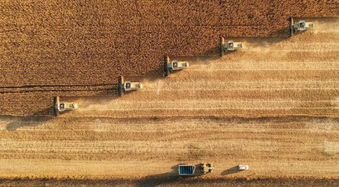 Tarımsal girdi fiyat endeksi arttı