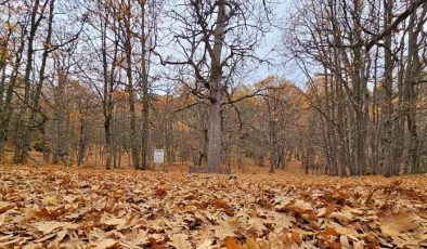 Yer: Isparta… Dünyada tek, özel izinle giriliyor