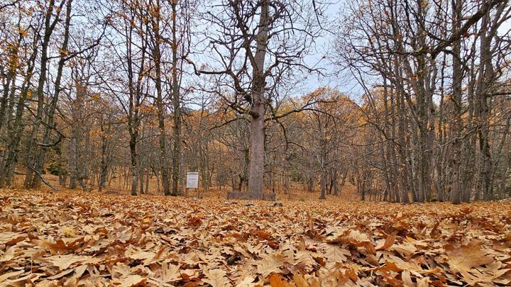 Yer: Isparta… Dünyada tek, özel izinle giriliyor