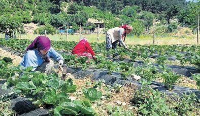 Maden çıkan kırsal bölgeler kalkınıyor