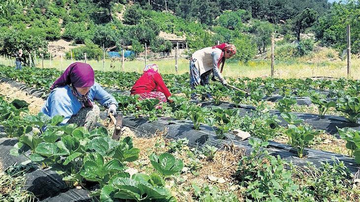 Maden çıkan kırsal bölgeler kalkınıyor